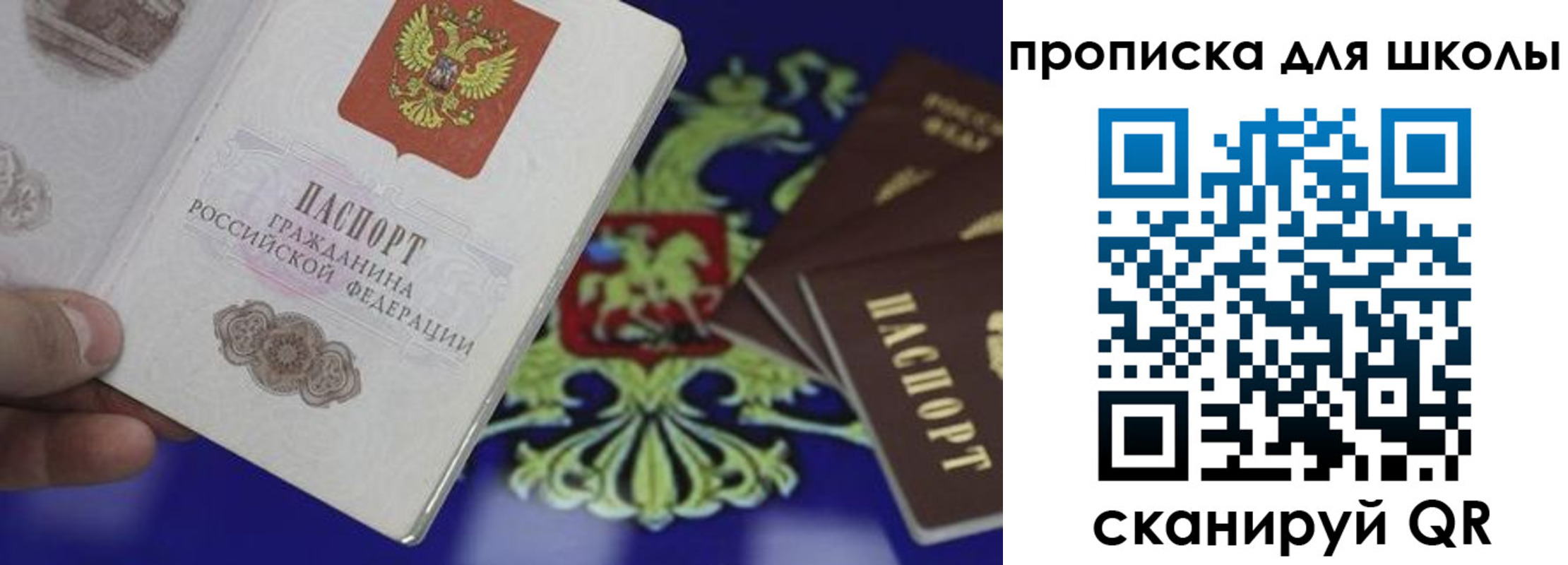 прописка паспорт в Кингисеппе